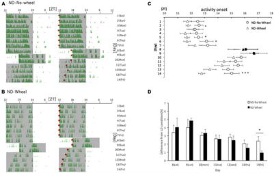 Wheel-Running Facilitates Phase Advances in Locomotor and Peripheral Circadian Rhythm in Social Jet Lag Model Mice